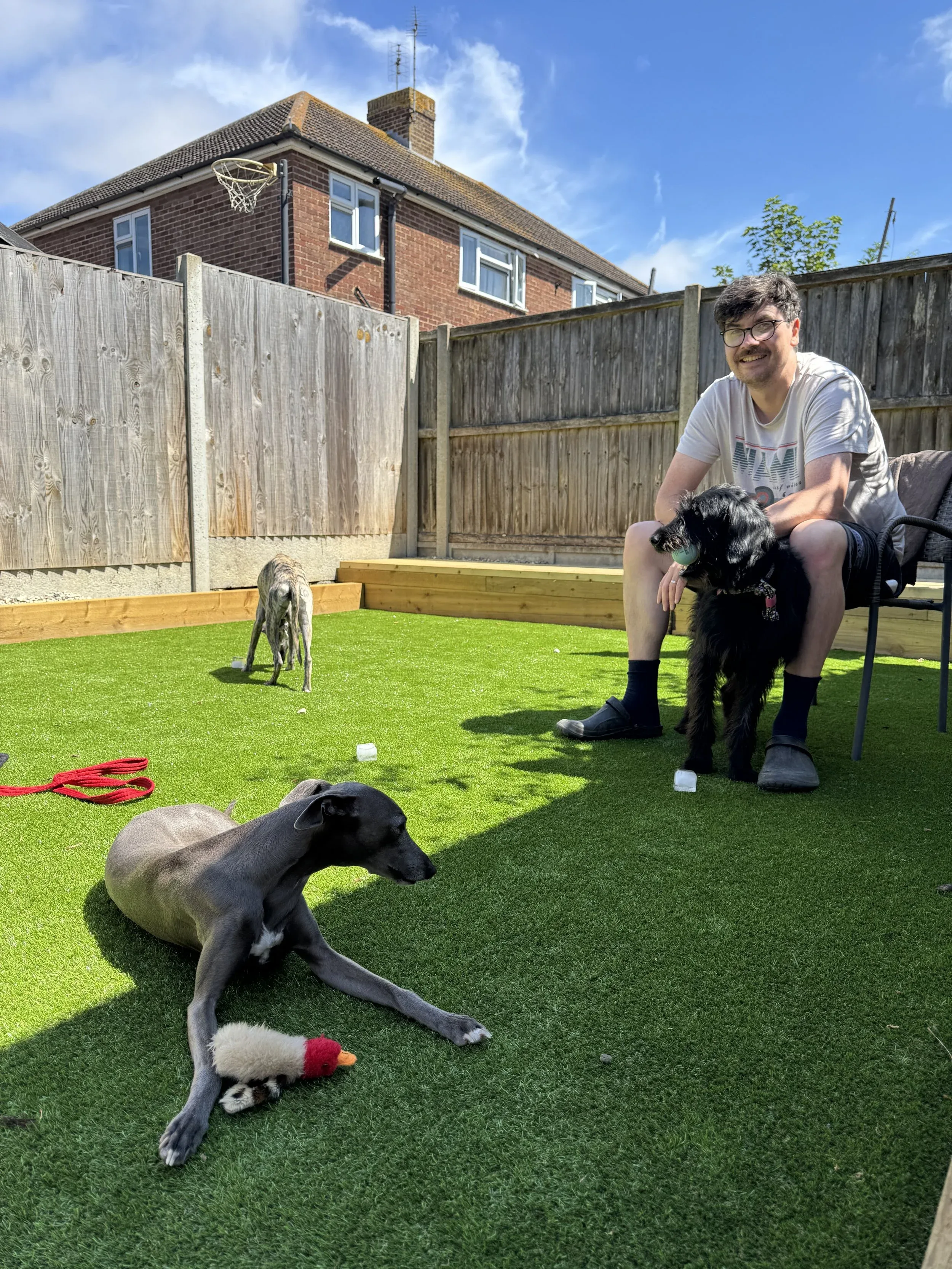 A man sitting on a garden chair, surrounded by three dogs on a sunny day.
