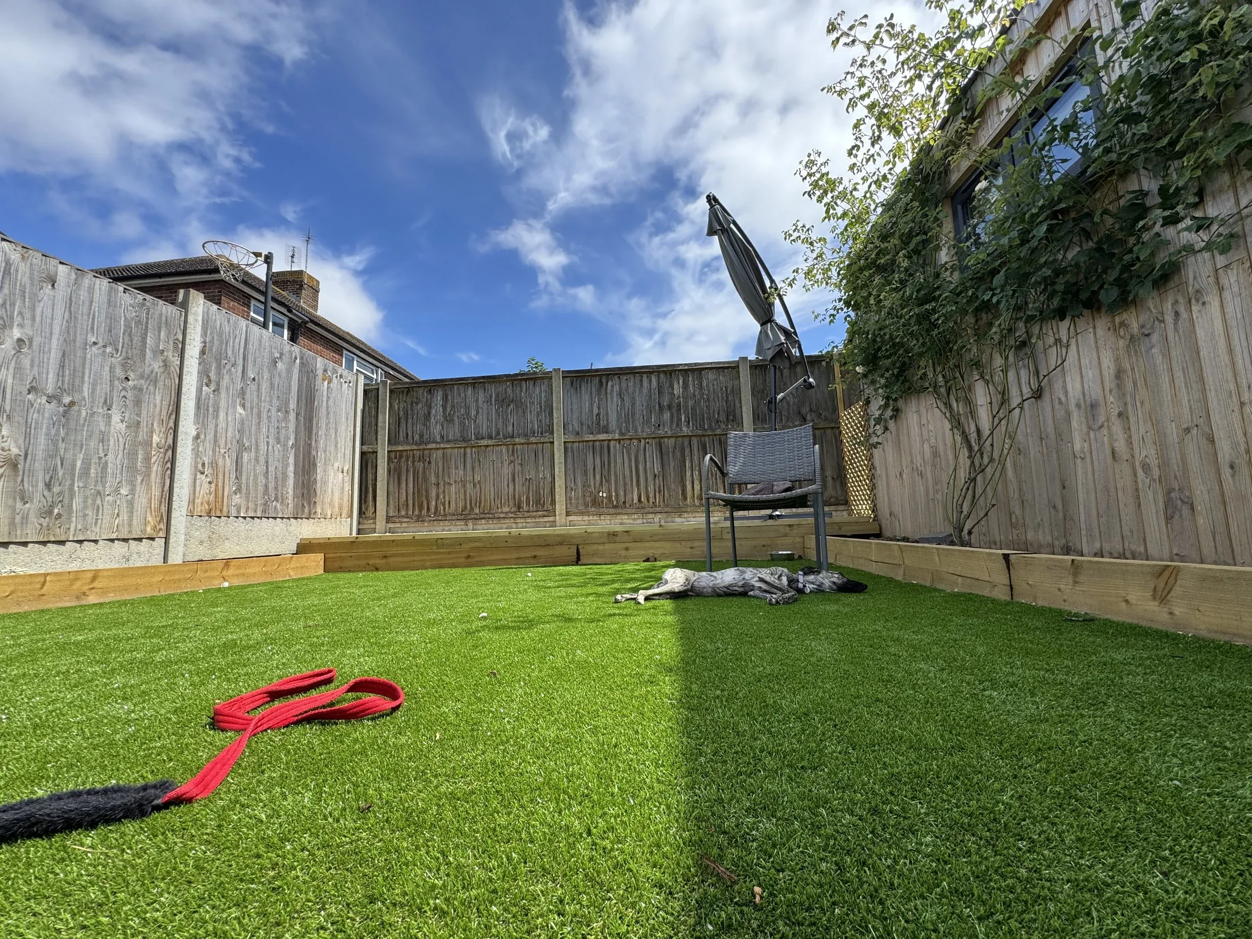 A backyard with freshly laid green artificial grass, a dog laying on the ground.
